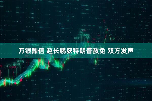 万银鼎信 赵长鹏获特朗普赦免 双方发声